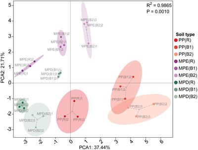 Effect of mixed planting on soil nutrient availability and microbial diversity in the rhizosphere of Parashorea chinensis plantations